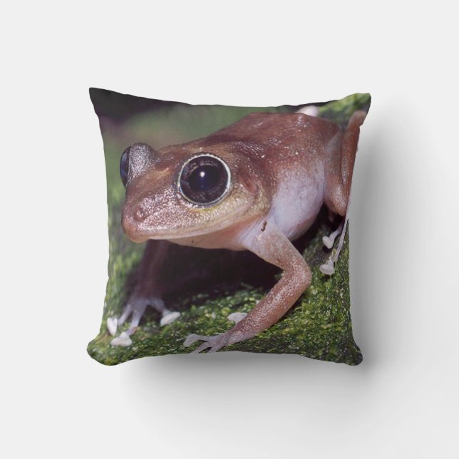#11-female Baumfrosch Kissen (Vorderseite)