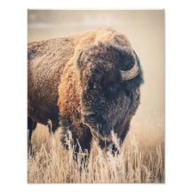 11 x 14 Print - Frosty Morning