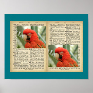 11" x 8,5", Poster (Vintage-Motive mit Vogel und T