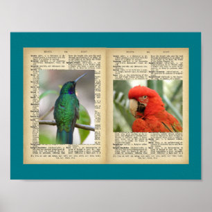 11" x 8,5", Poster (Vintage-Motive mit Vogel und T