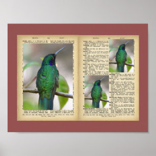 11" x 8,5", Poster (Vintage Muster für Vögel und T