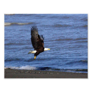 11 Zoll x 8,5 Zoll, Kodak Berufliches Foto Paper (