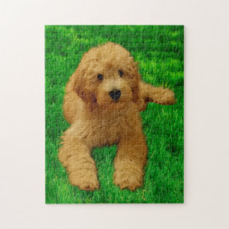 11x14 Das Goldendoodle rex Puzzle
