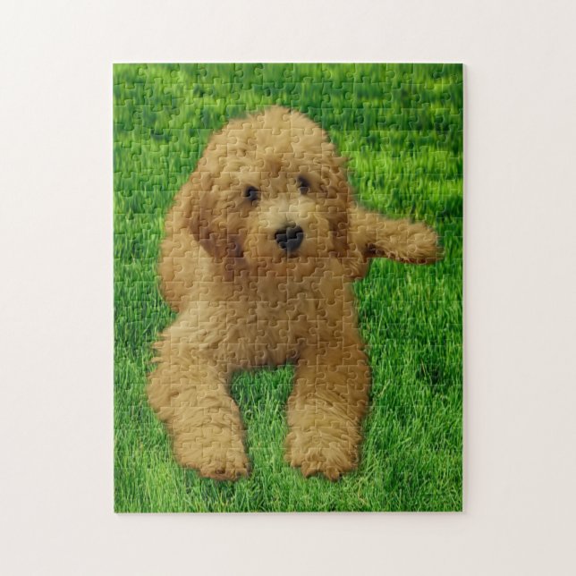 11x14 Das Goldendoodle rex Puzzle (Vertikal)
