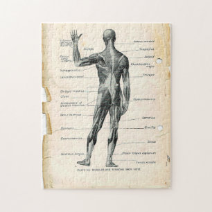 11x14 Vintage Anatomie-Buchseiten Puzzle