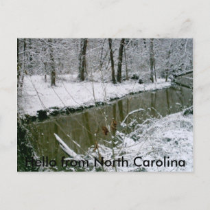 124, Hallo aus North Carolina Postkarte