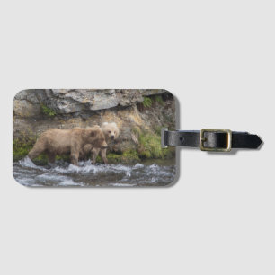128 Grazers CUB an den Bach-Fällen - Gepäckanhänger