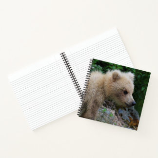 128's Littlest Cub - Notebook Notizbuch