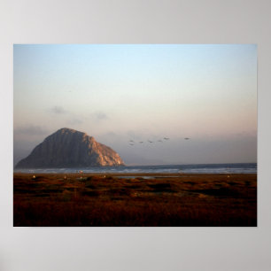 129 POSTER