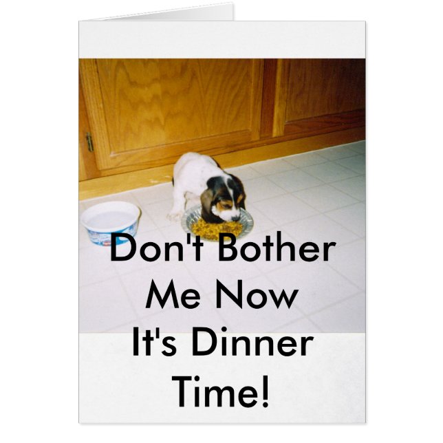 12-30-2008 06; 09; 30PM, stören mich nicht NowIts… (Vorne)