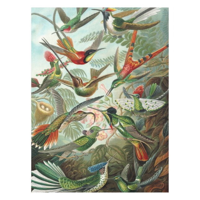 12 Amerikanische hummende Vogelrassen gezeichnet Tischdecke (Vorderseite)