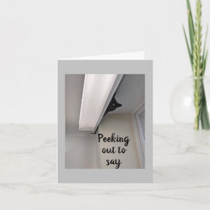 *12.* AUS EINER NIEDLICHEN HIDING KÜCHE FÜR IHRE K KARTE