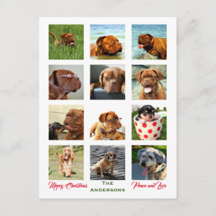 12 Bilder Familienfoto ✨ Collage Weihnachten Postkarte