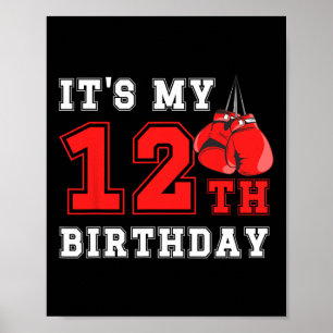 12. Boxing Geburtstagsparty Zwölf Jahre alter Boxe Poster