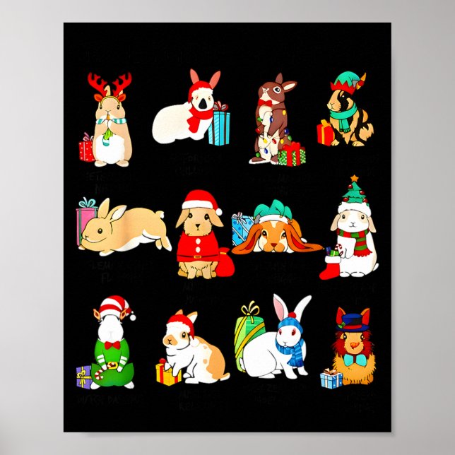 12 Bunny Of Christmas Bunny Rabbit Christmas Xmas  Poster (Vorne)