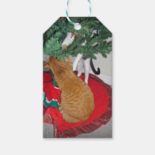 12 Cats a-Climbing Geschenkanhänger