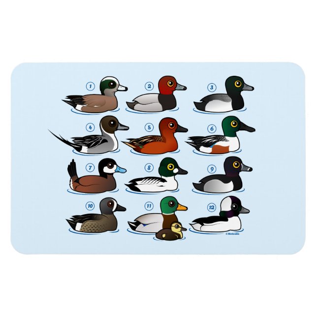 12 Enten Magnet (Horizontal)