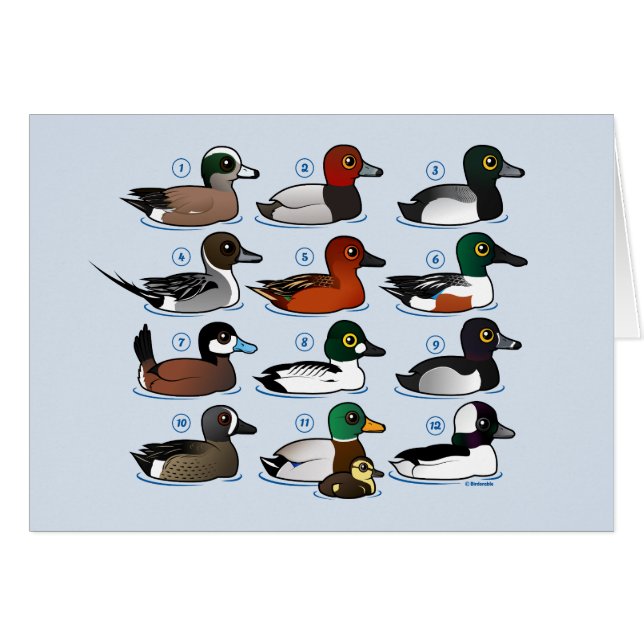 12 Enten mit Schlüssel (Vorderseite (Horizontal))
