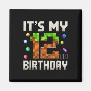 12. Geburtstag 12. Geburtstag Boy Gamer Pixel Magnet