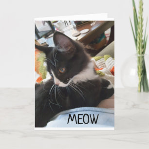 12." GEBURTSTAG WÜNSCHT SICH VON BEIDEN US-HUNDERk Karte