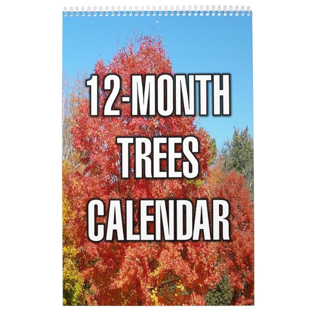 12-Monate-Bäume Kalender (Titelbild)