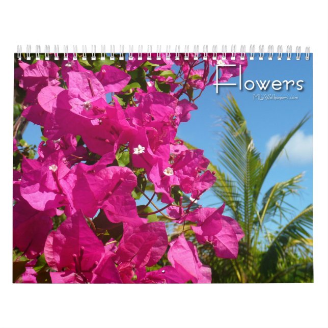 12 Monate Blumenfotografie, 3. Auflage Kalender (Titelbild)