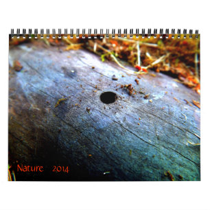 12 Monate der Natur Kalender