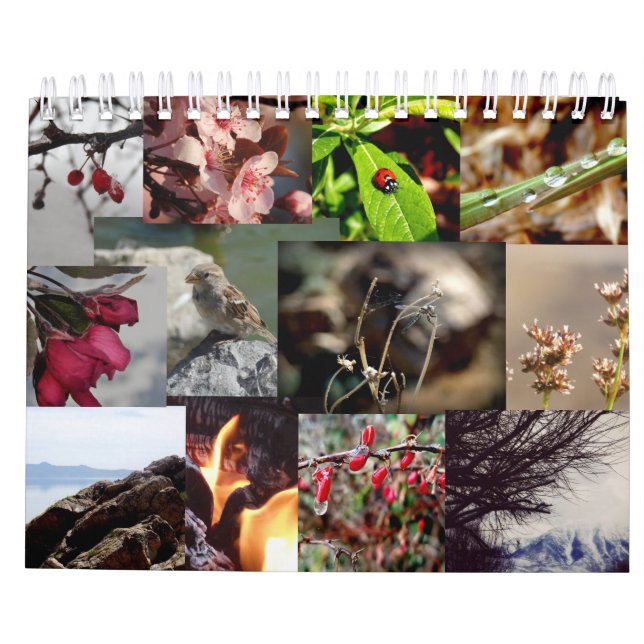 12 Monate des Jahr-Franzose-Kalenders Kalender (Rückseite)