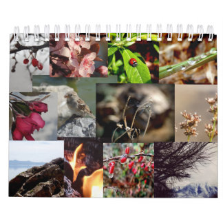 12 Monate des Kalender