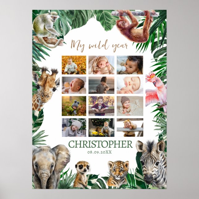 12 Monate Foto im ersten Jahr Poster (Vorne)