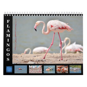 12 Monate Kalender