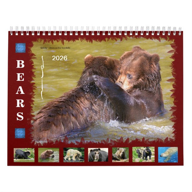 12 Monate Kalender verschiedene Bären (Titelbild)