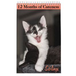 12 Monate Kittenkätzchen Geschwister Kalender