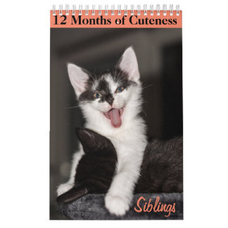 12 Monate Kittenkätzchen Geschwister Kalender