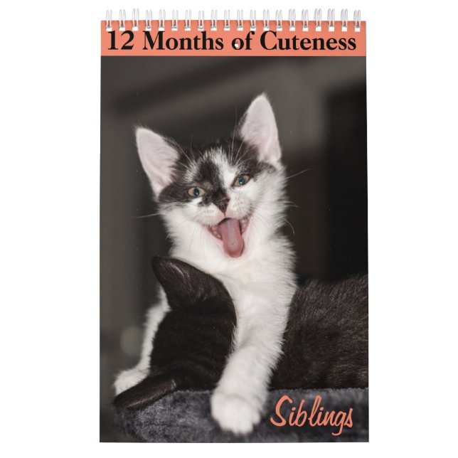 12 Monate Kittenkätzchen Geschwister Kalender (Titelbild)