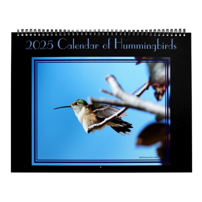 12 Monate Kolibris Kalender. Kalender (Titelbild)