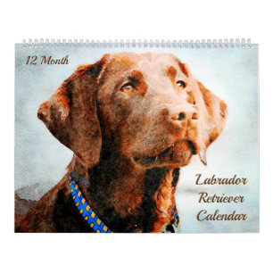 12 Monate Labrador Retriever Dogs Watercolor Gesch Kalender