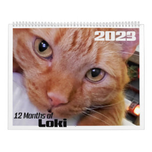 12 Monate Loki an Orange Tabby Cat Kalender