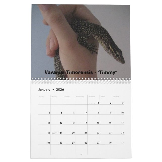 12 Monate Monitoren Kalender (Jan 2026)