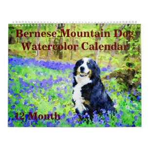 12 Monate Regal Berner Bergsee-Zauber im Val Piora Kalender