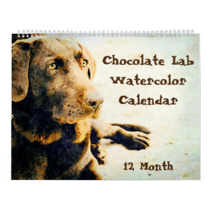 12 Monate Schokolade Labrador Hunde Haustiere Wass Kalender