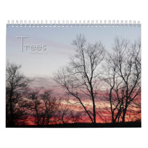 12 Monate schöne Bäume, 1. Auflage Kalender