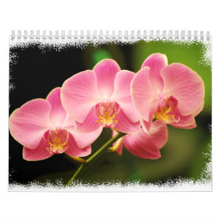 12 Monate schöne Orchideen Kalender