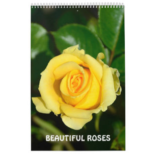 12 Monate Schöne Rose Kalender