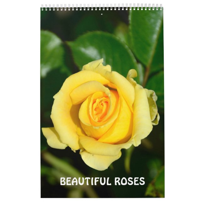 12 Monate Schöne Rose Kalender (Titelbild)