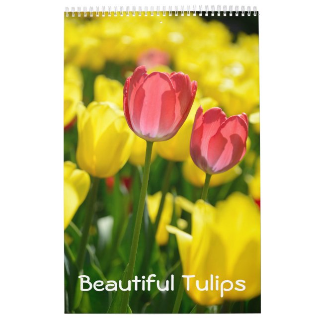 12 Monate Schöne Tulips (#2) Kalender (Titelbild)
