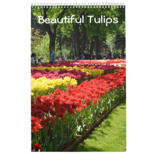 12 Monate Schöne Tulips Kalender