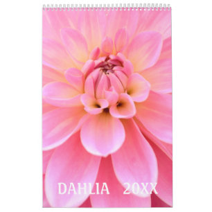 12 Monate Schöner Dahlia Foto Kalender