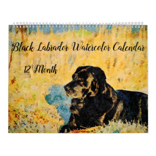 12 Monate Schwarzes Labor Hunde Haustiere Wasserfa Kalender