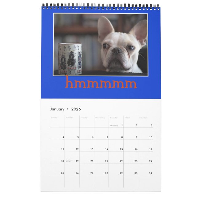 12 Monate von Herrn K, Adorable Französisch Kalend Kalender (Jan 2026)